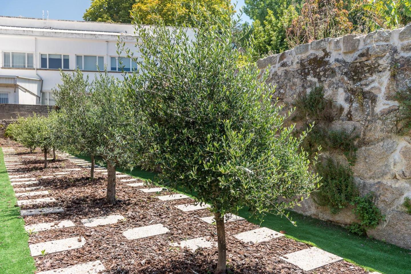 Guestready - Jardim Das Oliveiras Guesthouse - 2 Porto Eksteriør billede